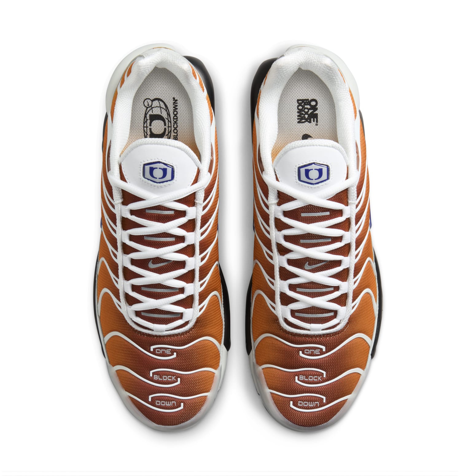Nike x One Block Down Air Max Plus 'Chutney' FZ3308-700