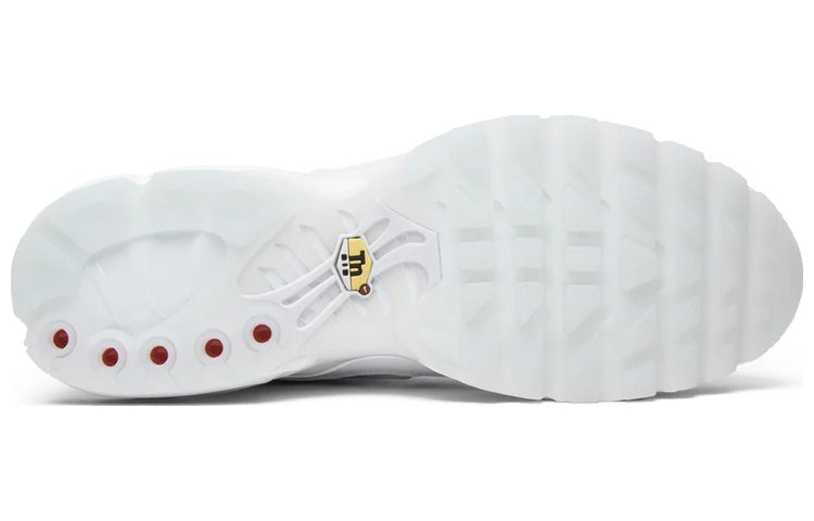 Nike Air Max Plus 'International Flag' AO5117-100