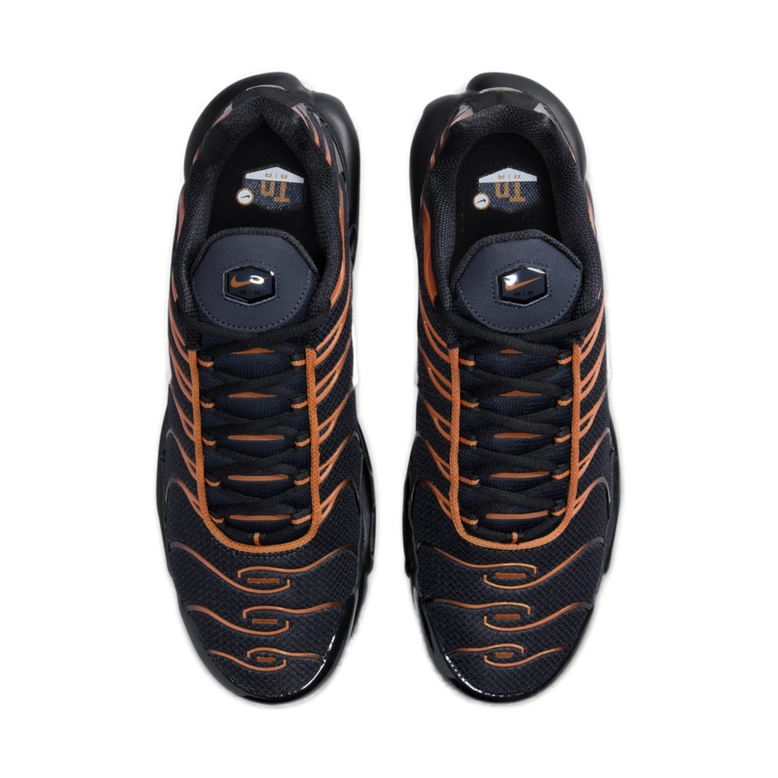 Nike Air Max Plus 'Dark Obsidian Monarch' FN6949-400