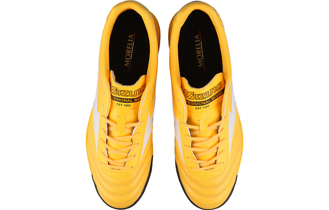 Mizuno Morelia 2 Pro AS P1GD221401