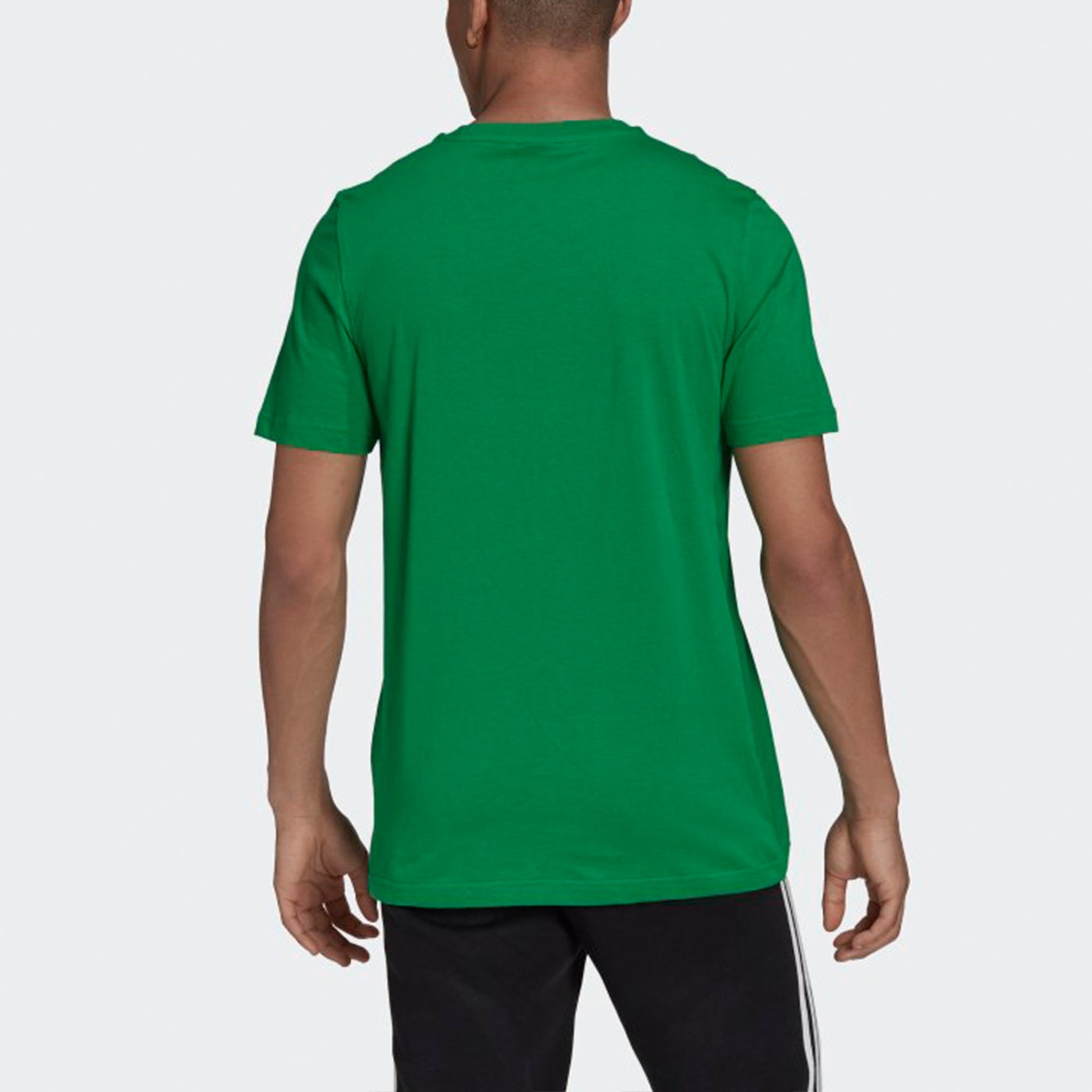 adidas originals Adicolor Classics Logo Tee H06639