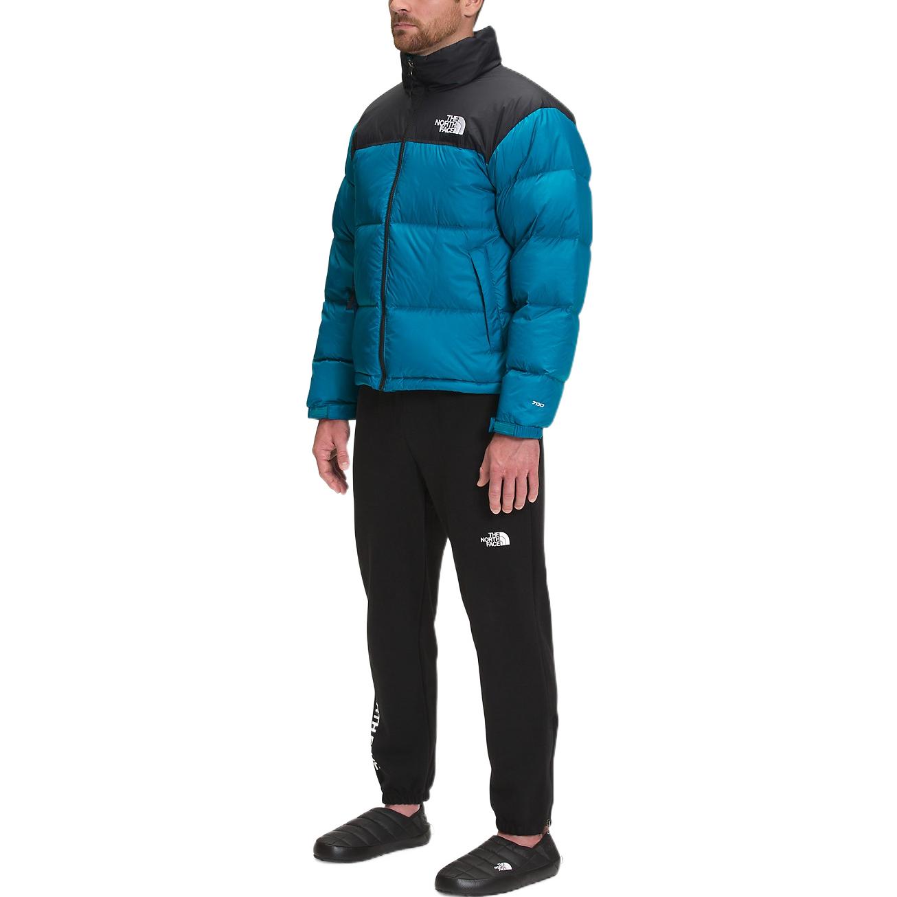 THE NORTH FACE 1996 Retro Nuptse 700 NF0A3C8D-M19