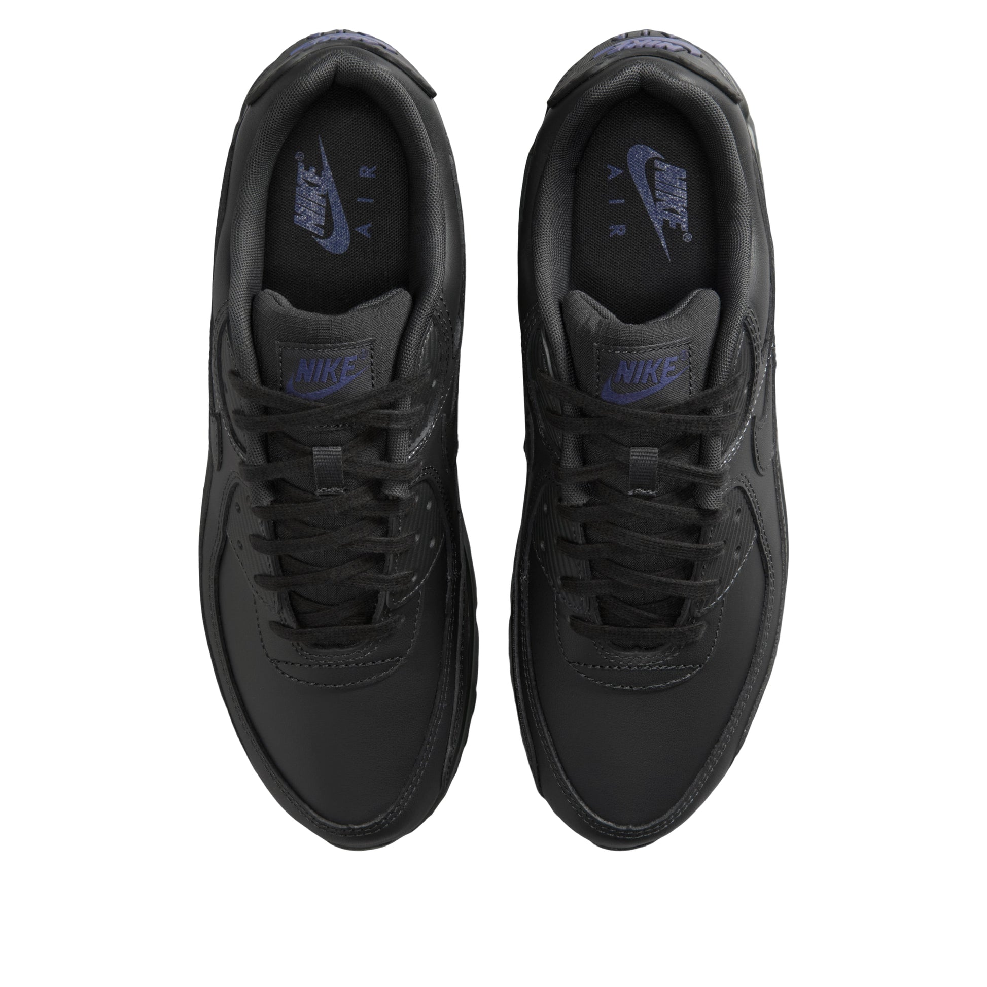 Nike Air Max 90 'Dark Smoke Grey Sanded Purple' IF5446-001
