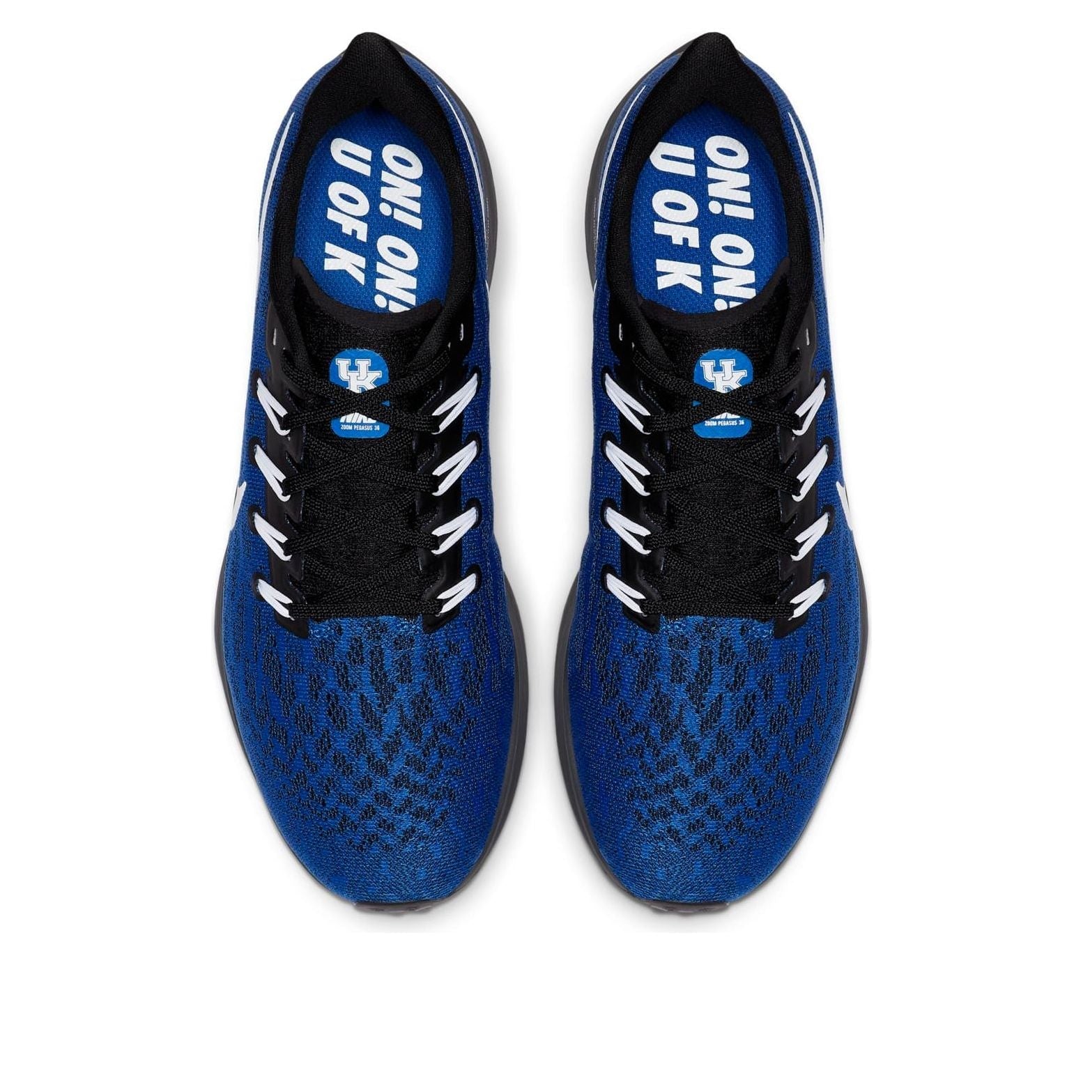 Nike Air Zoom Pegasus 36 'Kentucky' CI2073-400