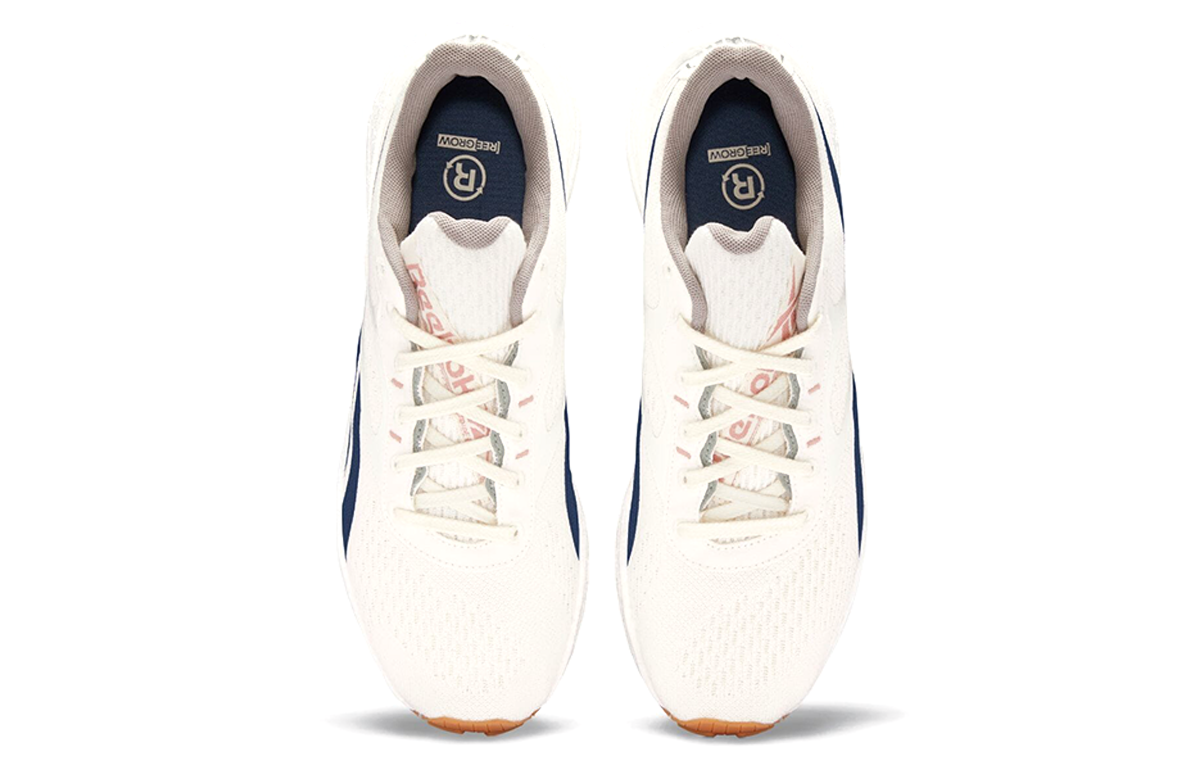 Reebok Floatride Energy Grow 'White Brave Blue' G55952