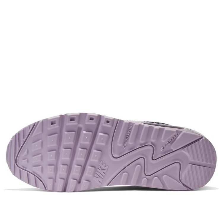 (GS) Nike Air Max 90 Leather 'Iced Lilac' CD6864-002