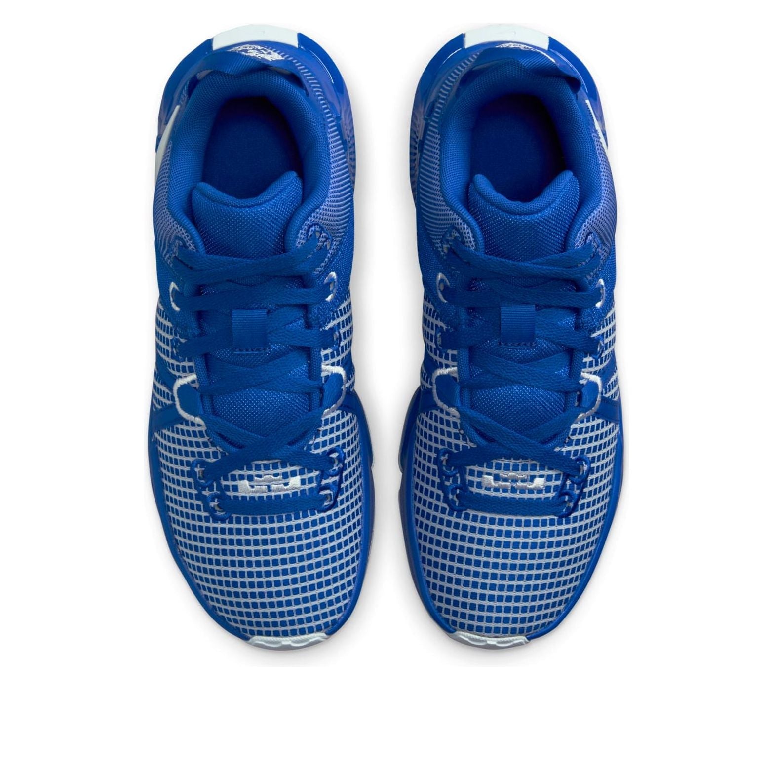 Nike LeBron Witness 7 TB 'Game Royal' DZ3299-400