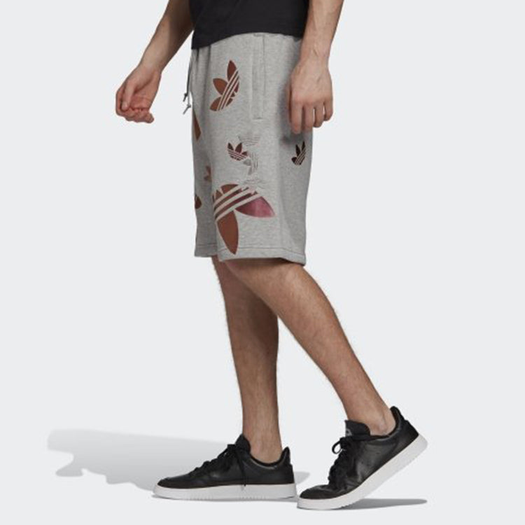 adidas originals Zeno Big Trefoil Logo Lacing Sports Shorts Gray GD0983