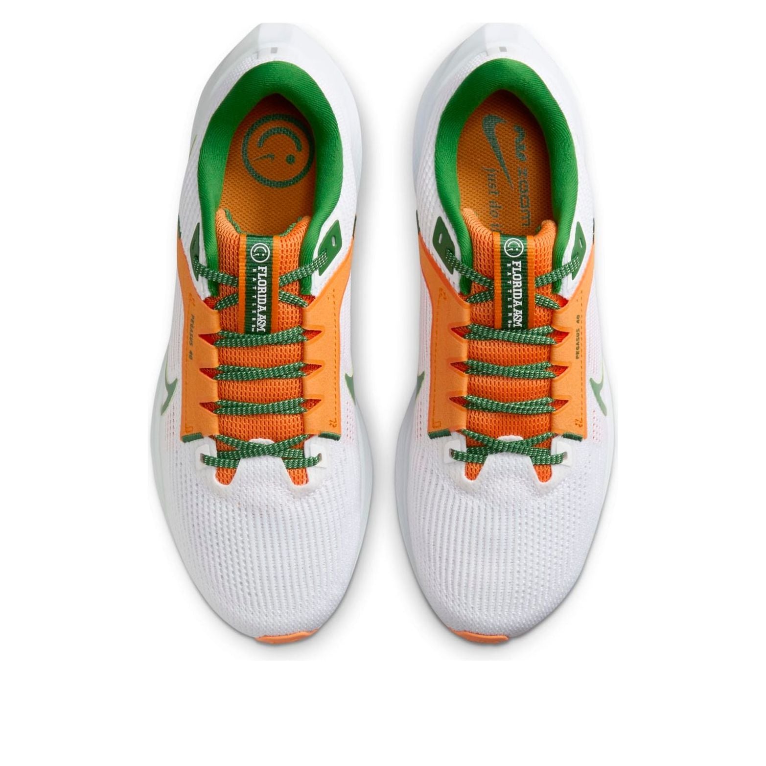 Nike Air Zoom Pegasus 40 'Florida A&amp;M University' DZ5941-100