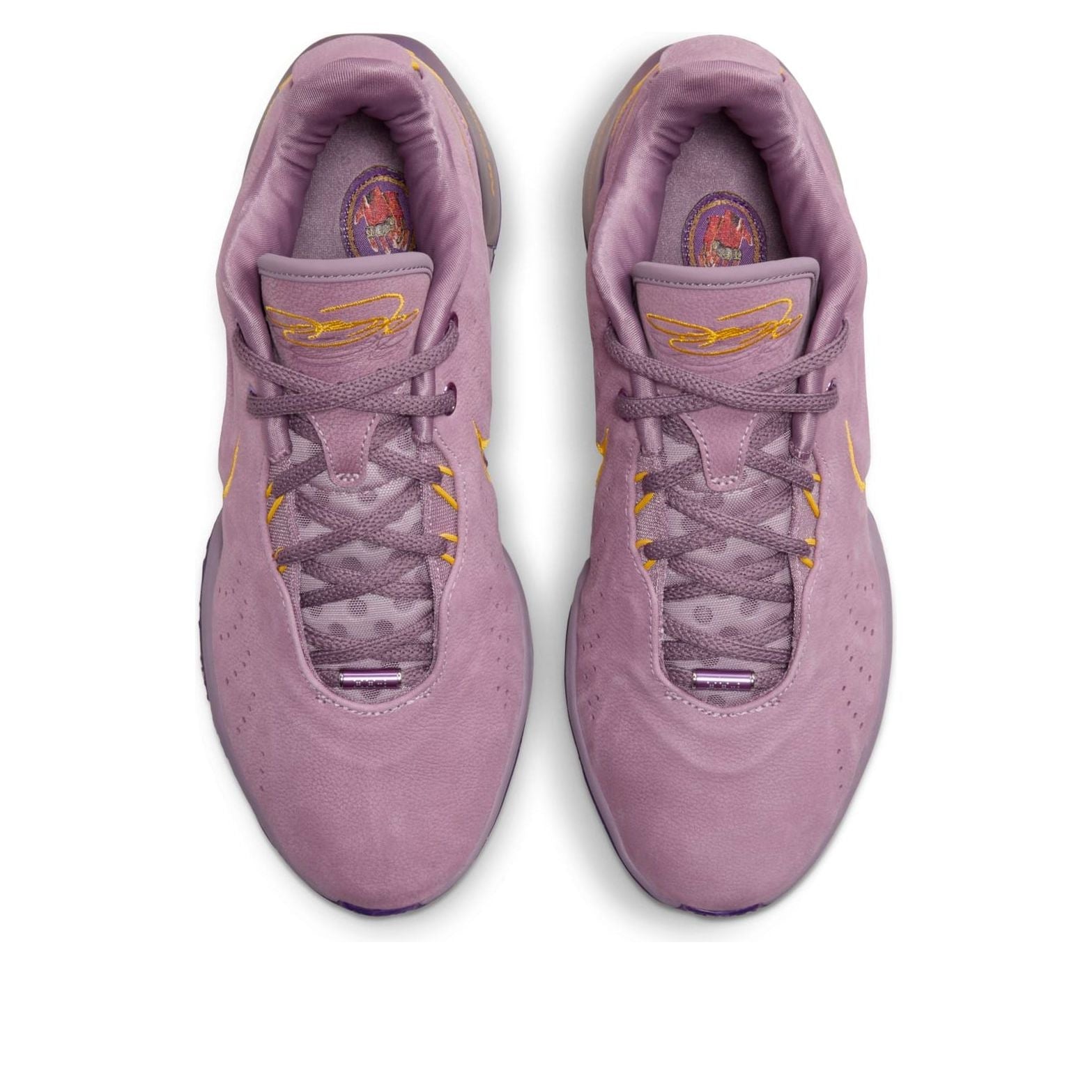 Nike Lebron 21 EP 'Purple Rain' FV2346-500