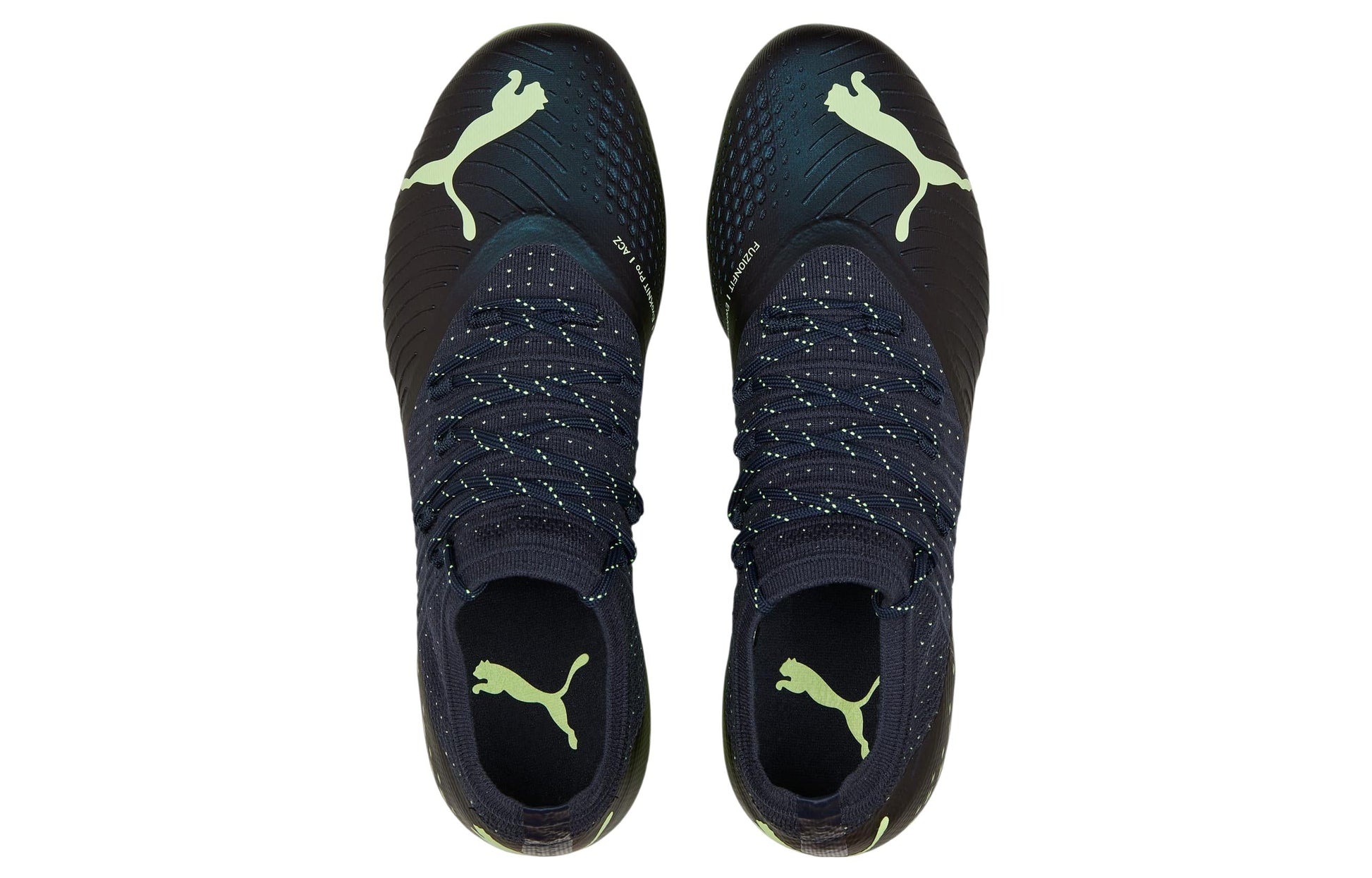 PUMA Future 2.4 FG AG 'Fastest Pack Black Green' 106995-01