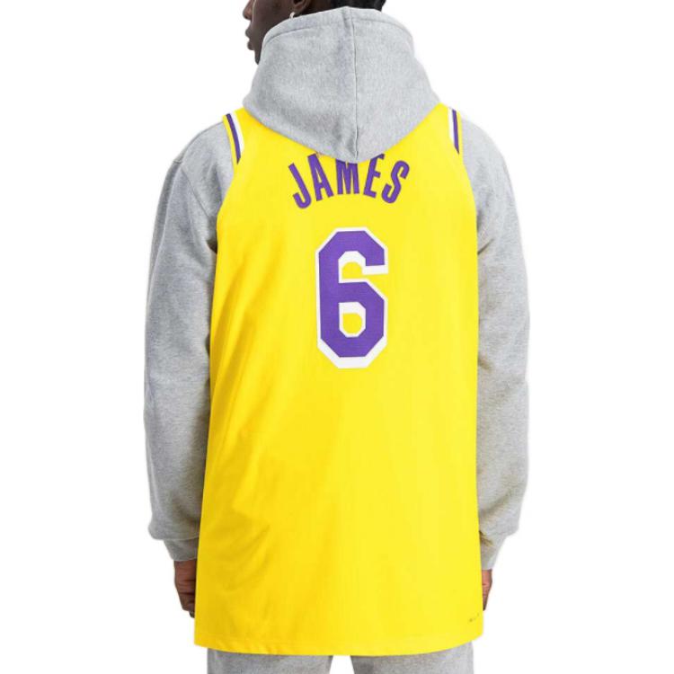 Nike x NBA LA Lakers Jerseys 'LeBron James 6' DB3317-730