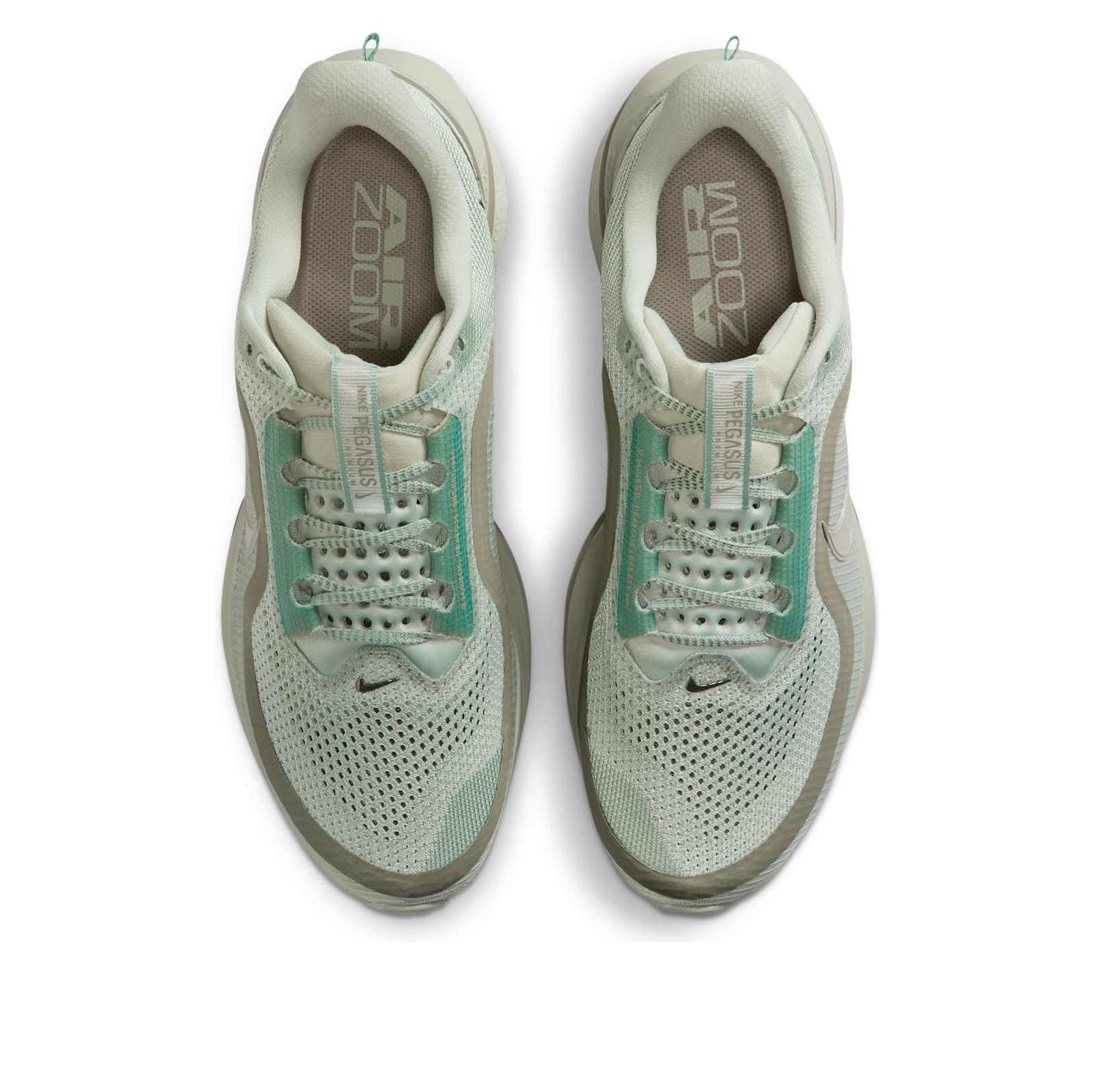 Nike Pegasus Premium 'Jade Horizon' HQ2592-300