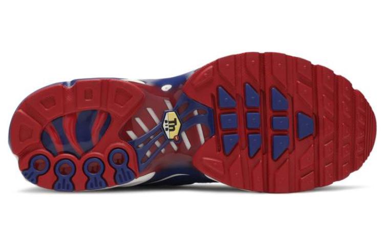 (GS) Nike Air Max Plus 'USA' CK0003-100