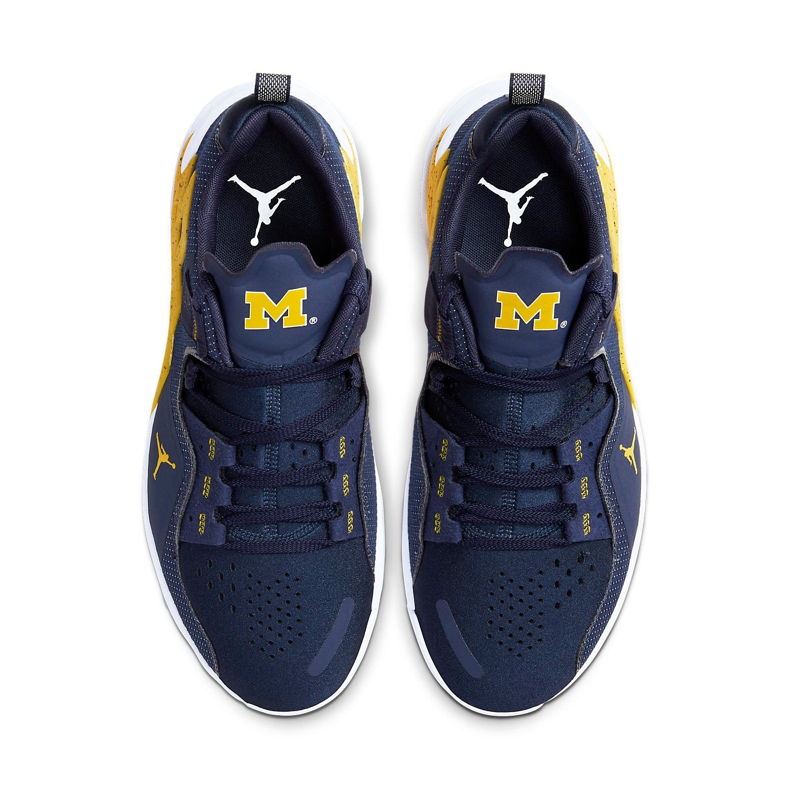 Air Jordan Alpha 360 TR 'Michigan' CQ6425-417