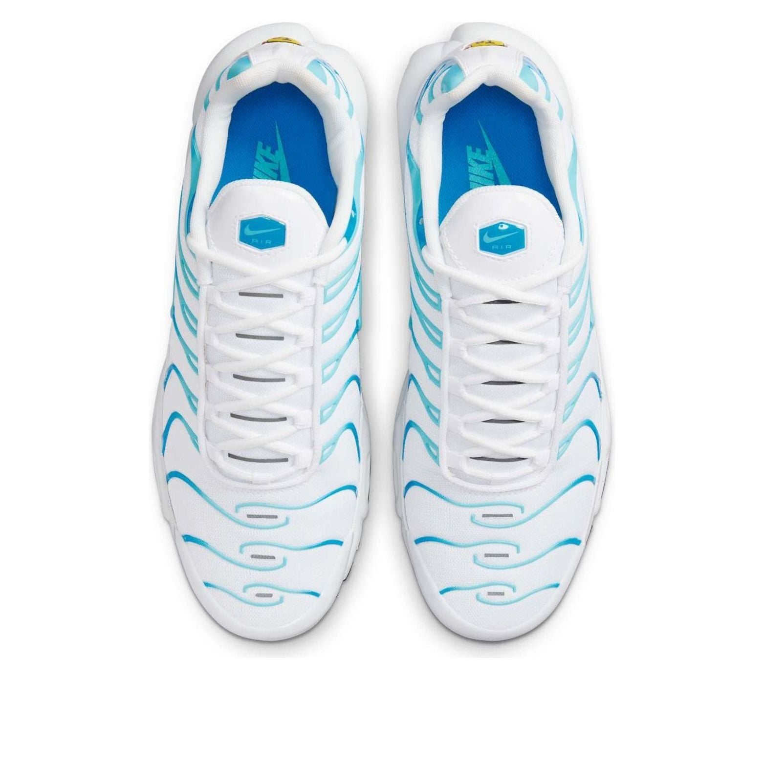 Nike Air Max Plus 'White Polarized Blue' 604133-135