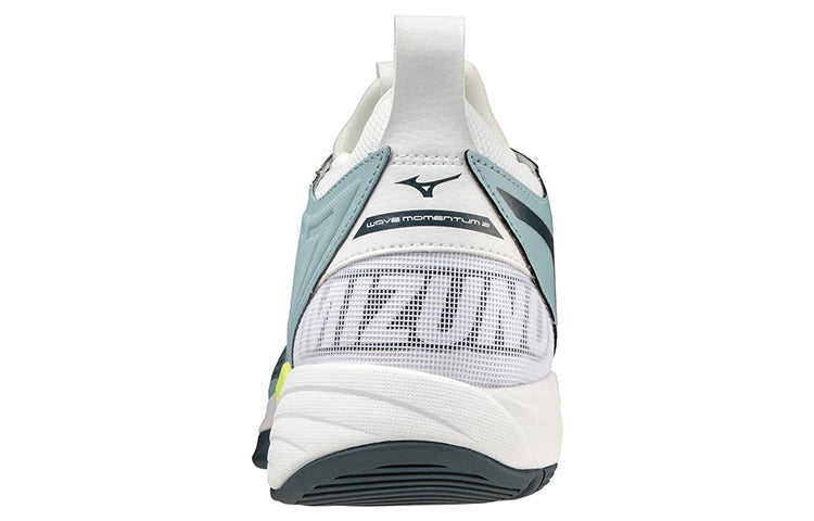 Mizuno Wave Momentum 2 'Grey' V1GA211238