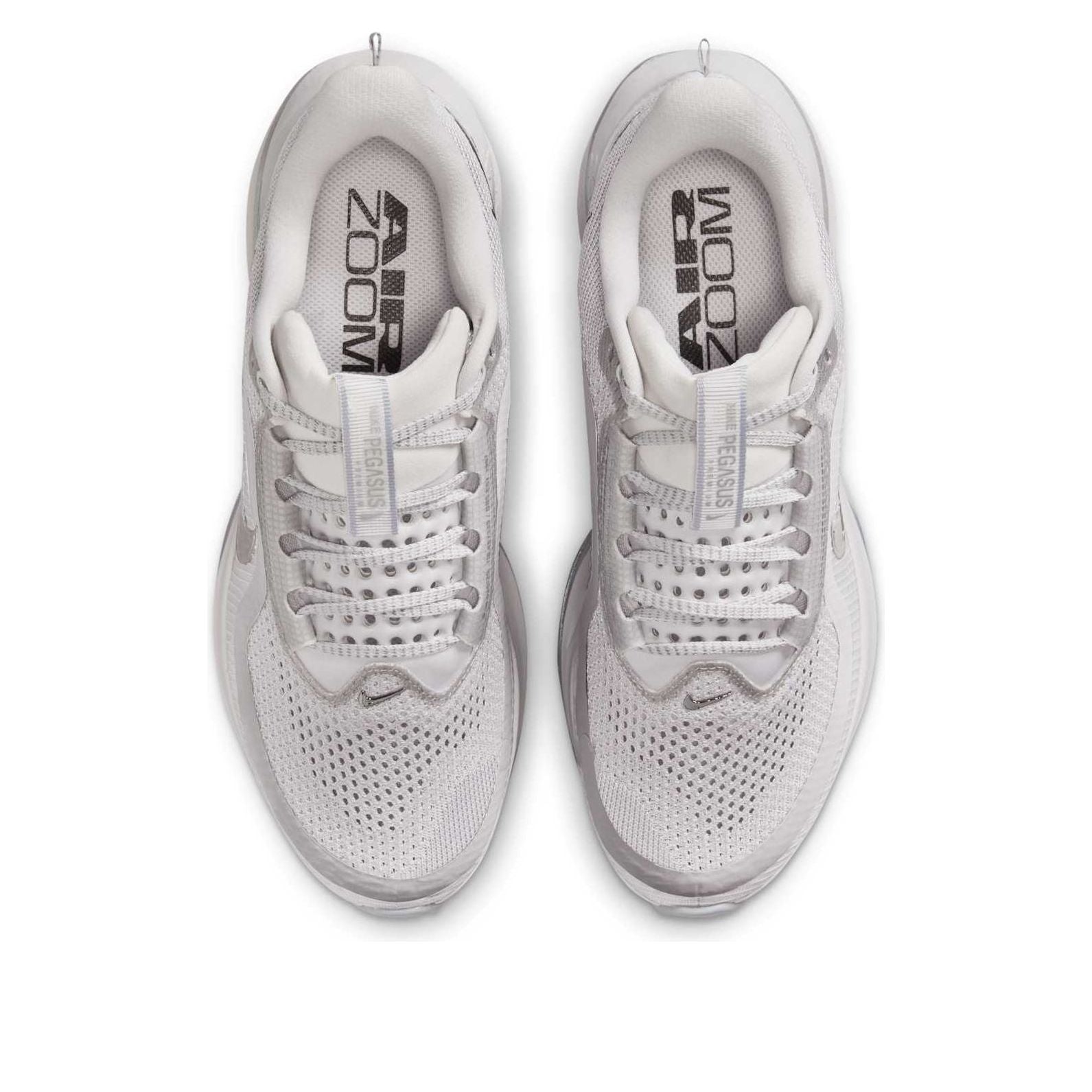 (WMNS) Nike Air Zoom Pegasus Premium 'Metallic Silver Swoosh' HQ2593-005