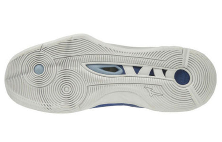 Mizuno Wave Momentum 2 'Blue' V1GA191206