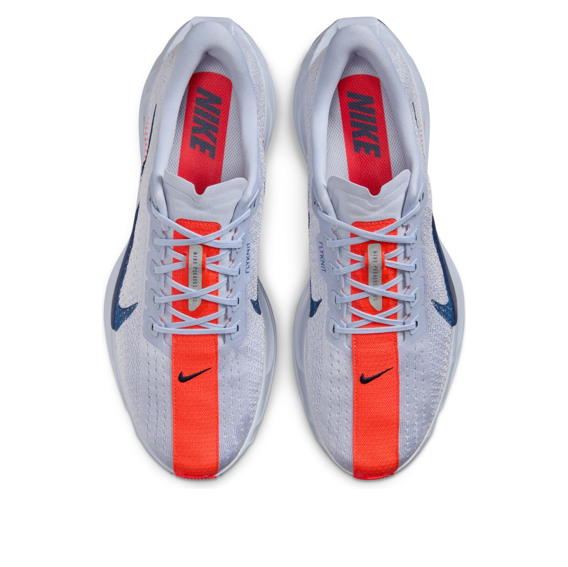 Nike Pegasus Plus 'Ghost Blue Void' FQ7262-006