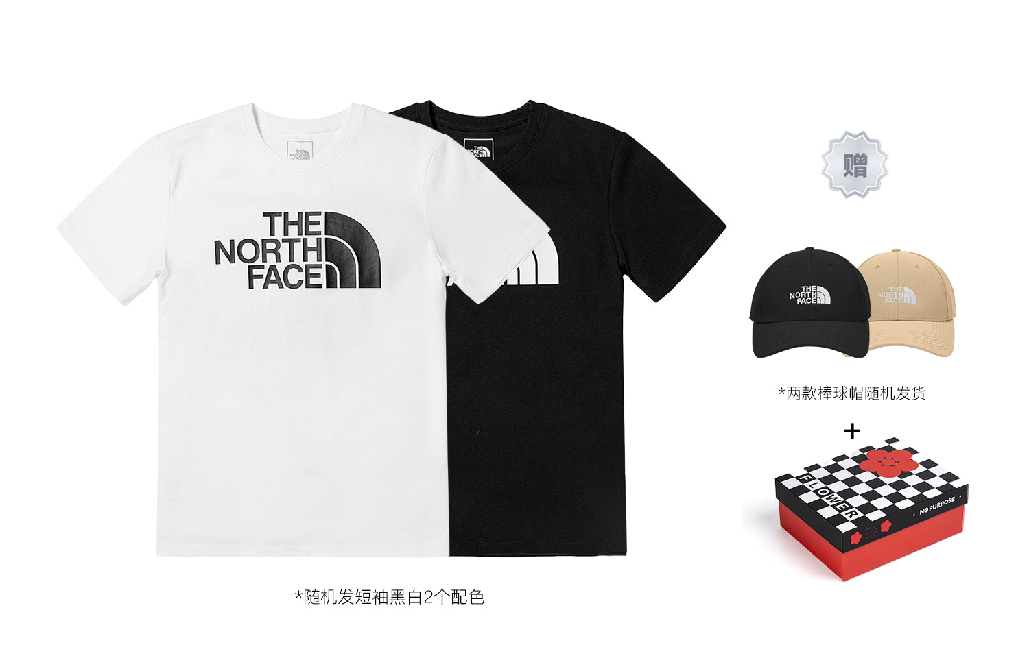 THE NORTH FACE SS22 Easy T-shirt 'White' NF0A5JZS-FN4