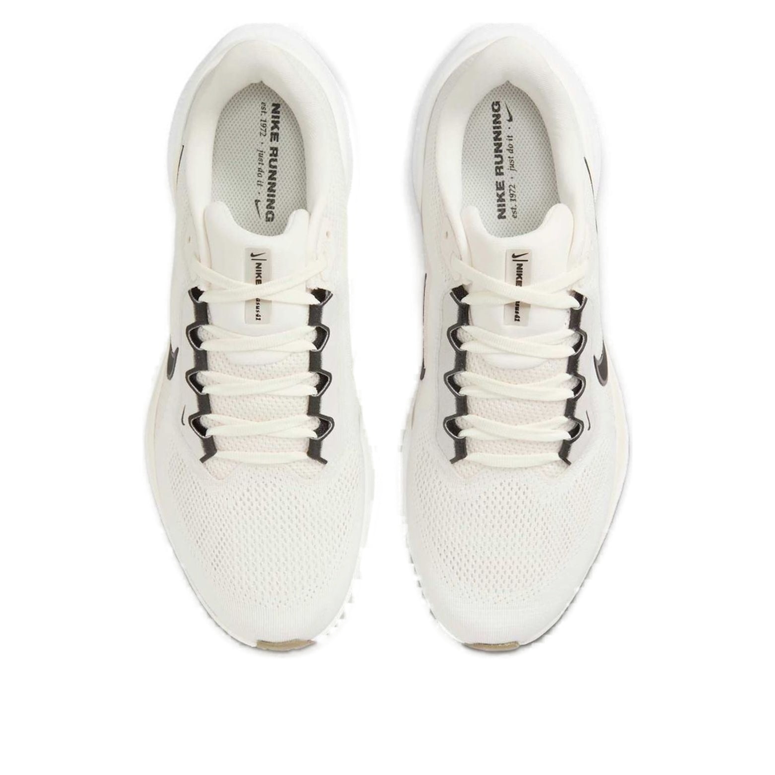 Nike Air Zoom Pegasus 41 'Sail Black' FD2722-111