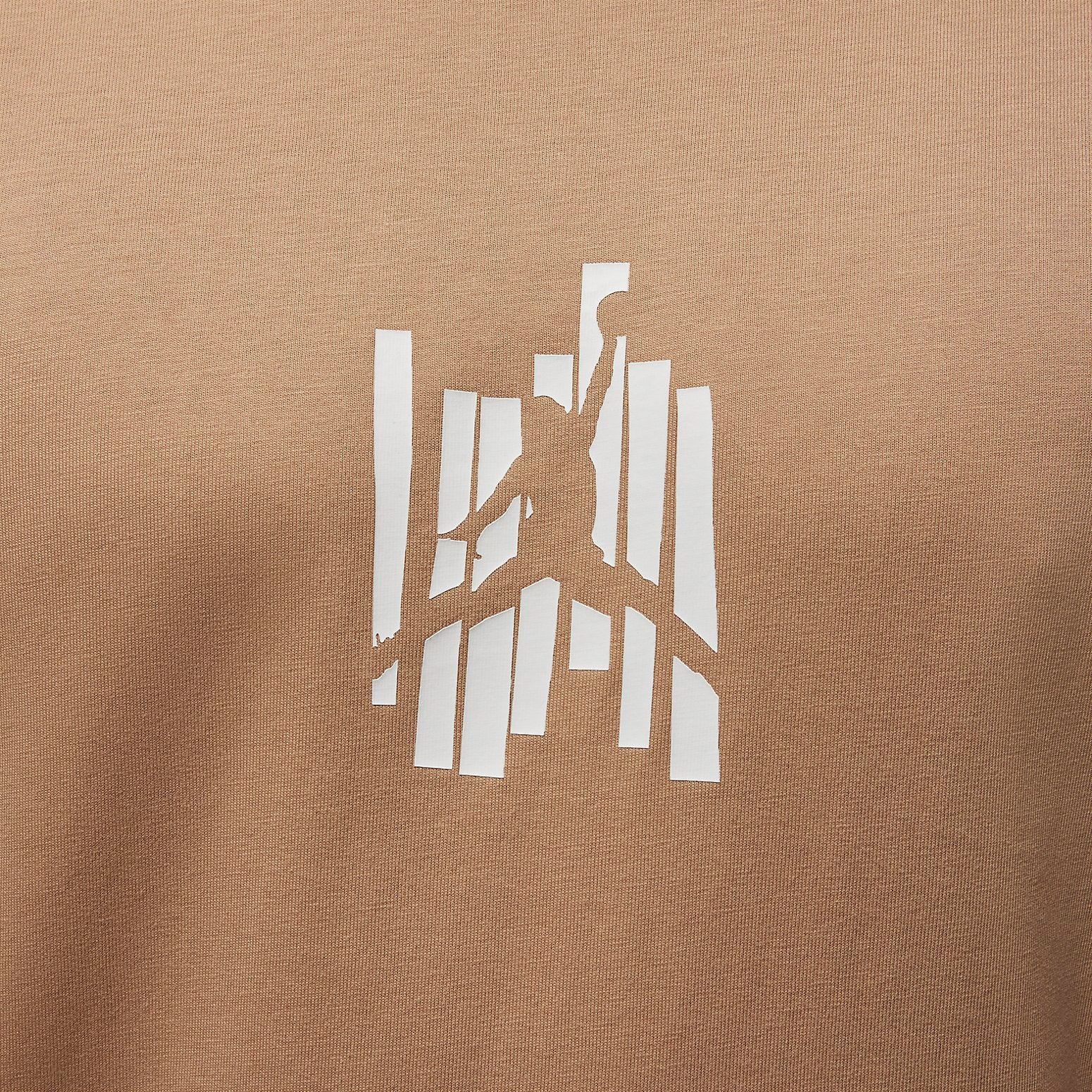 Air Jordan Brand Graphic T-Shirt 'Brown' FD7025-200
