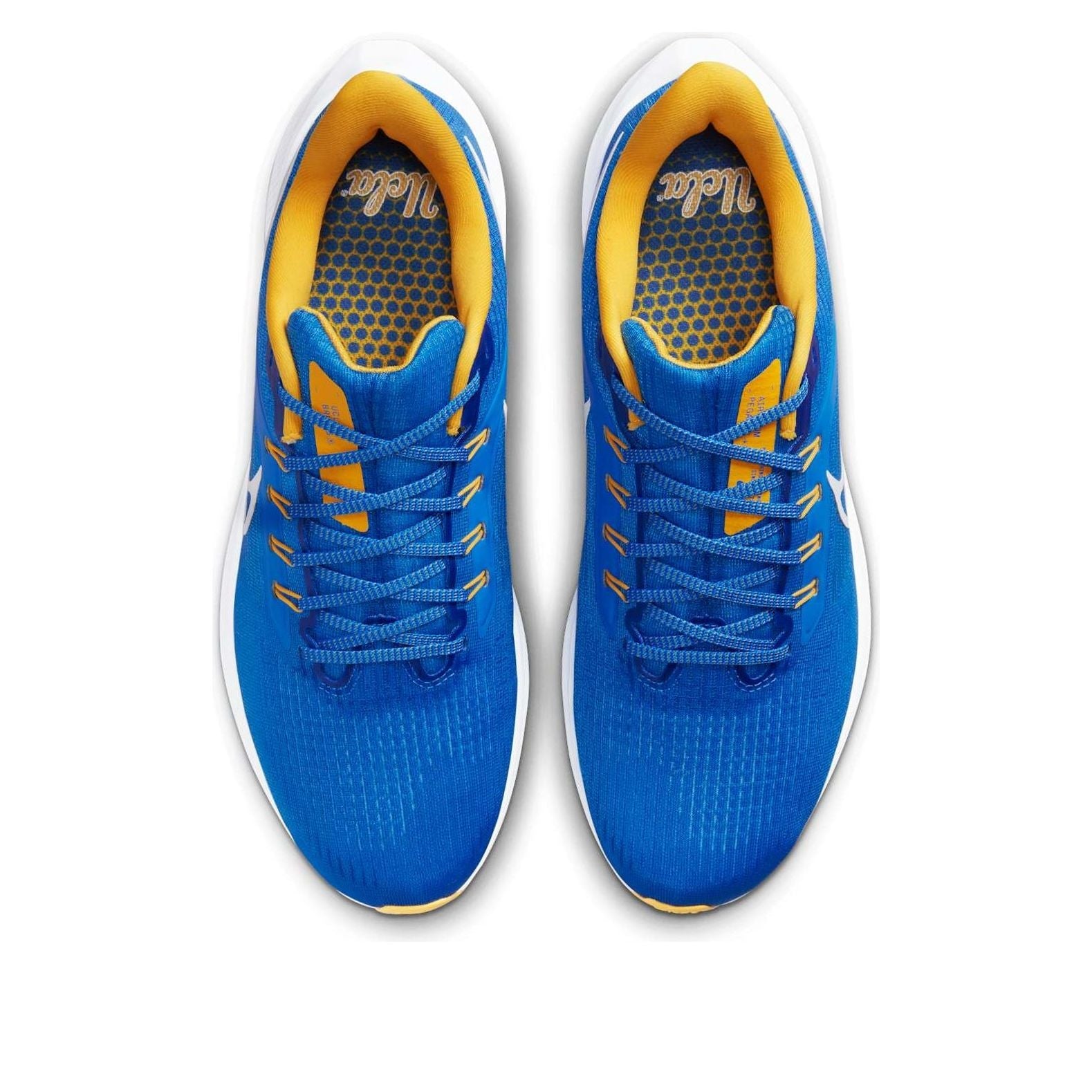Nike Air Zoom Pegasus 39 'UCLA' DR1977-400