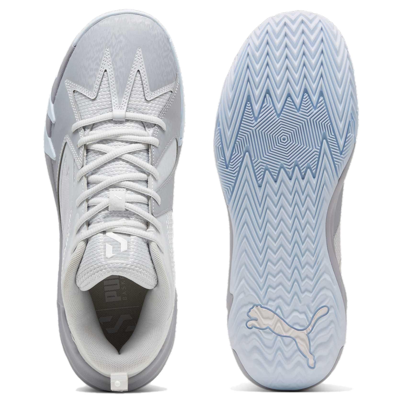 PUMA Scoot Zeros 'Grey Frost' 309839-01