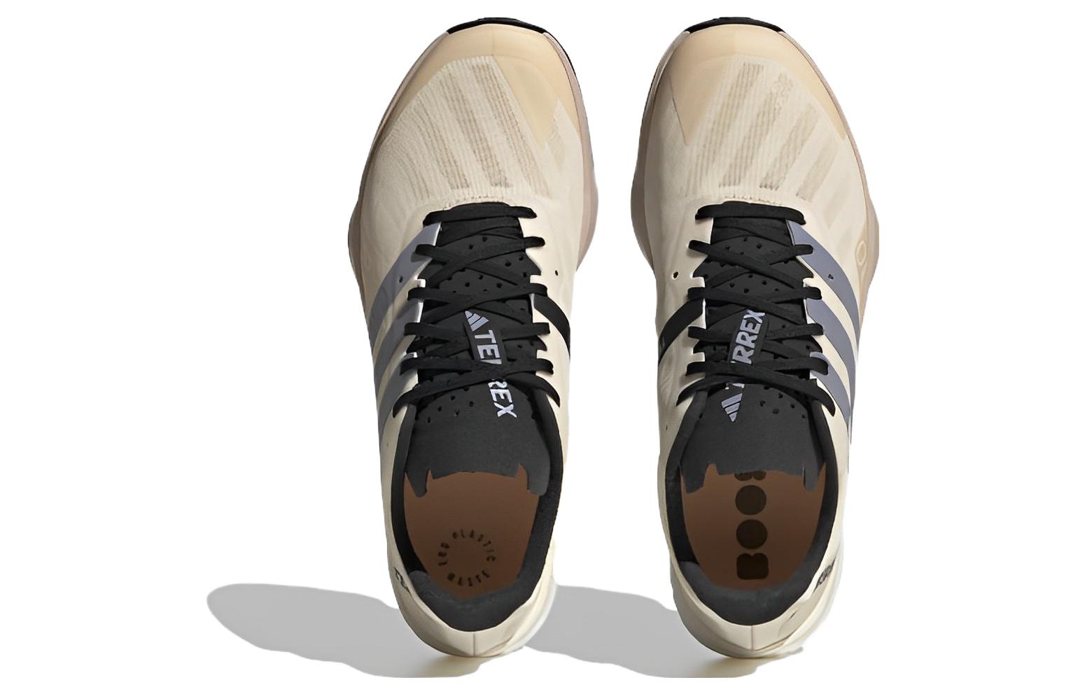 (WMNS) adidas Terrex Agravic Flow 2.0 'Sand Strata Silver Violet' HR1163