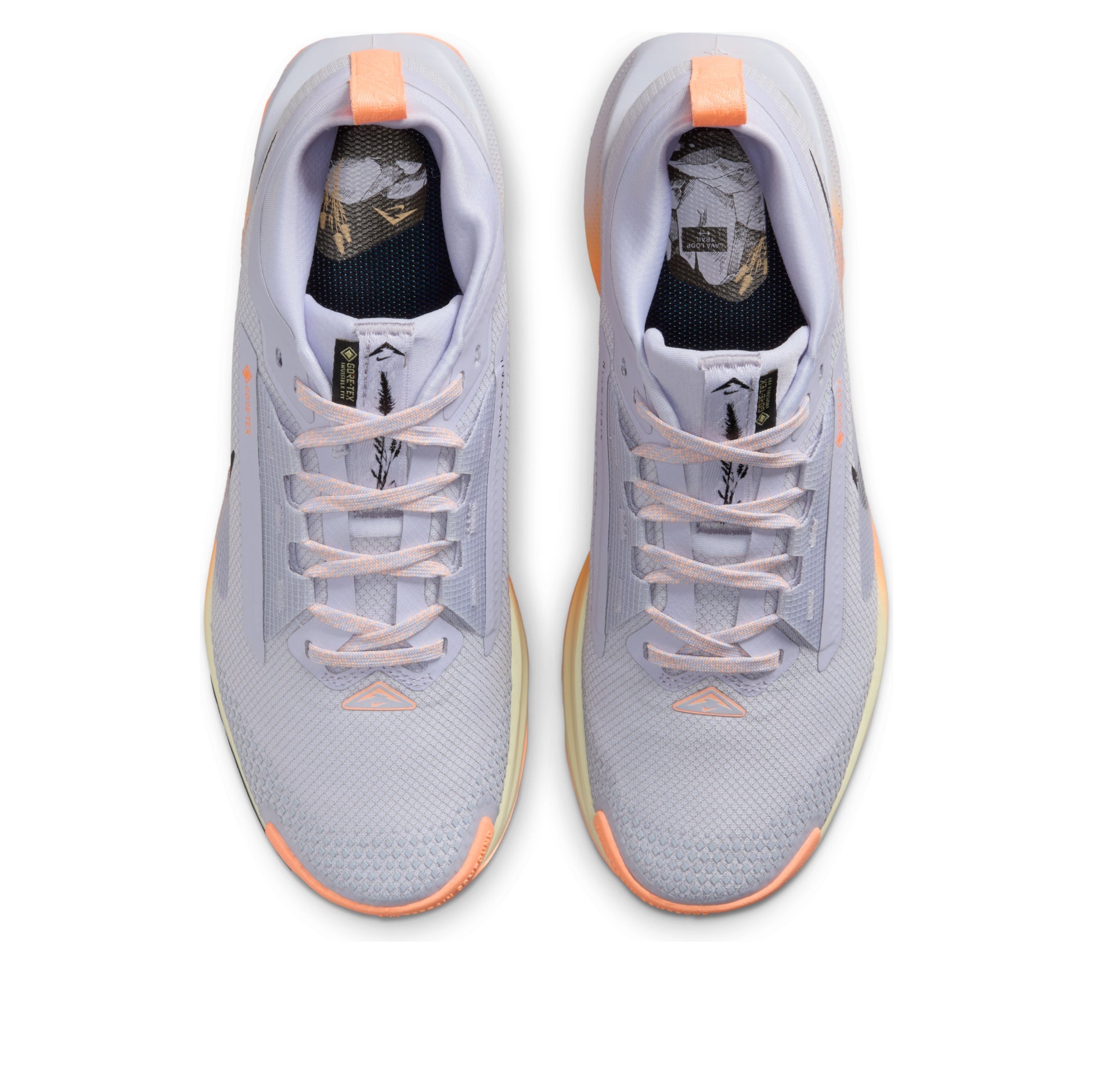 (WMNS) Nike Pegasus Trail 5 Gore-Tex 'Ghost Black Orange Pulse' FQ0912-011