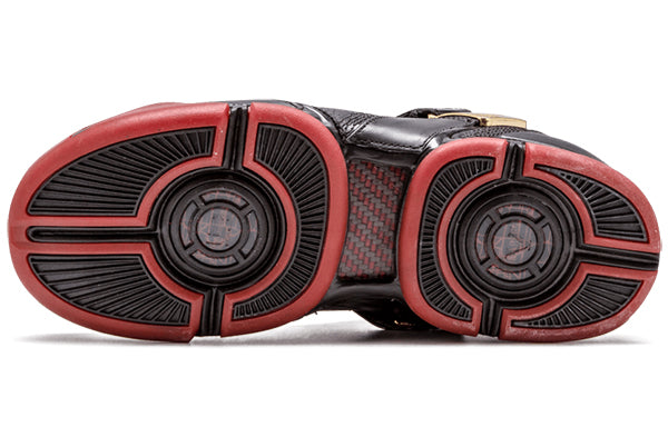 Nike Zoom LeBron 5 'Black Varsity Crimson' 317253-001