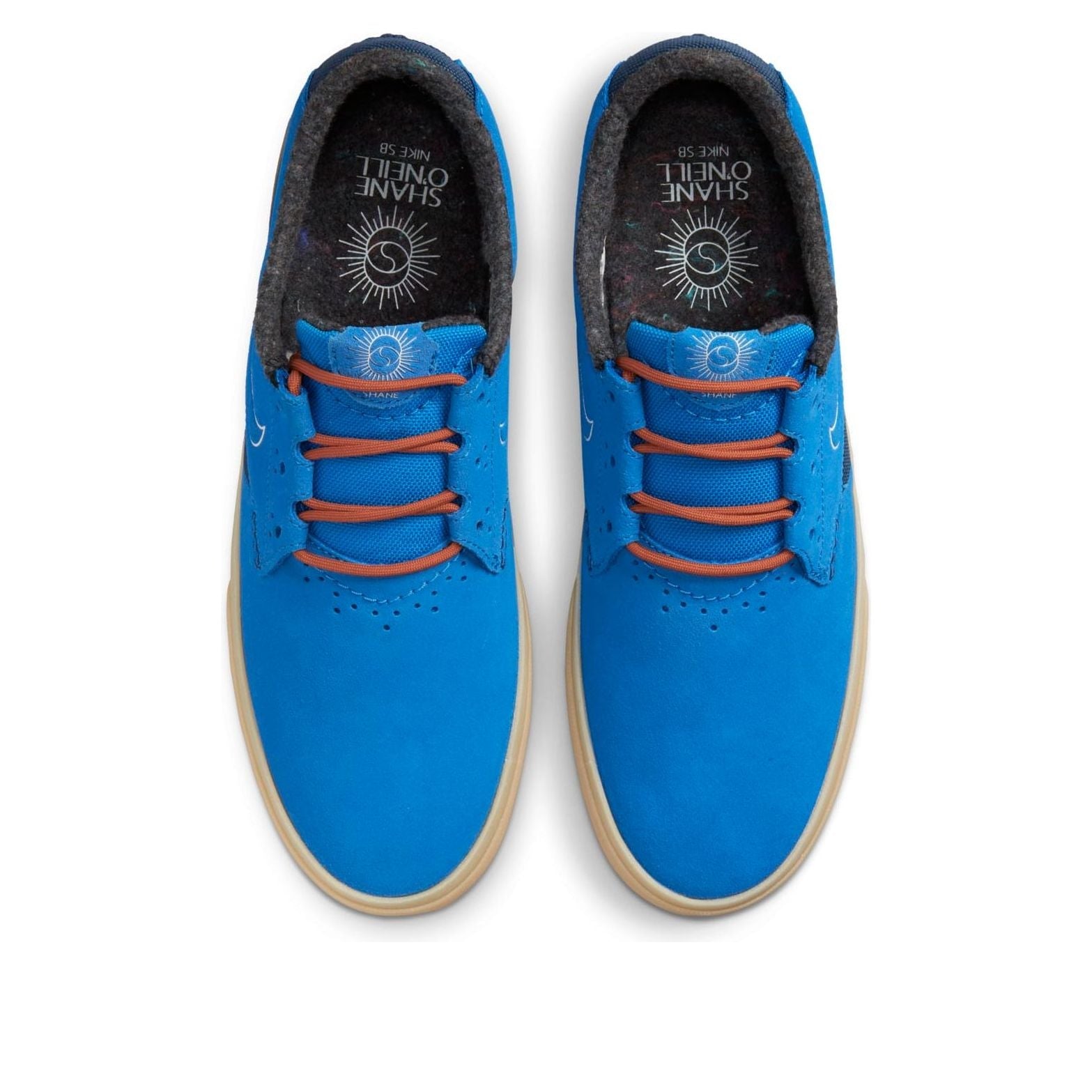 Nike Shane Premium SB 'Signal Blue' DC8902-400