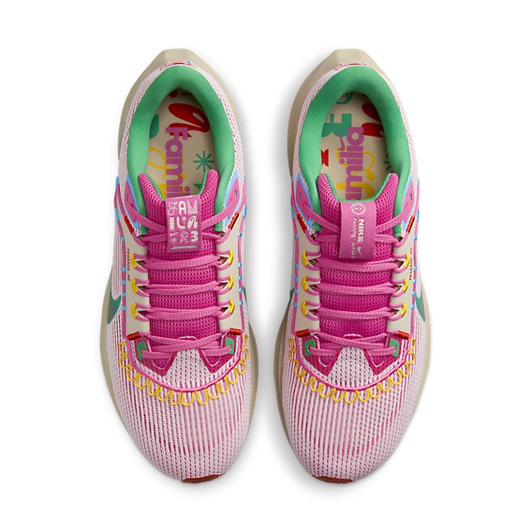 Nike Pegasus 40 'Familia' FN0599-100