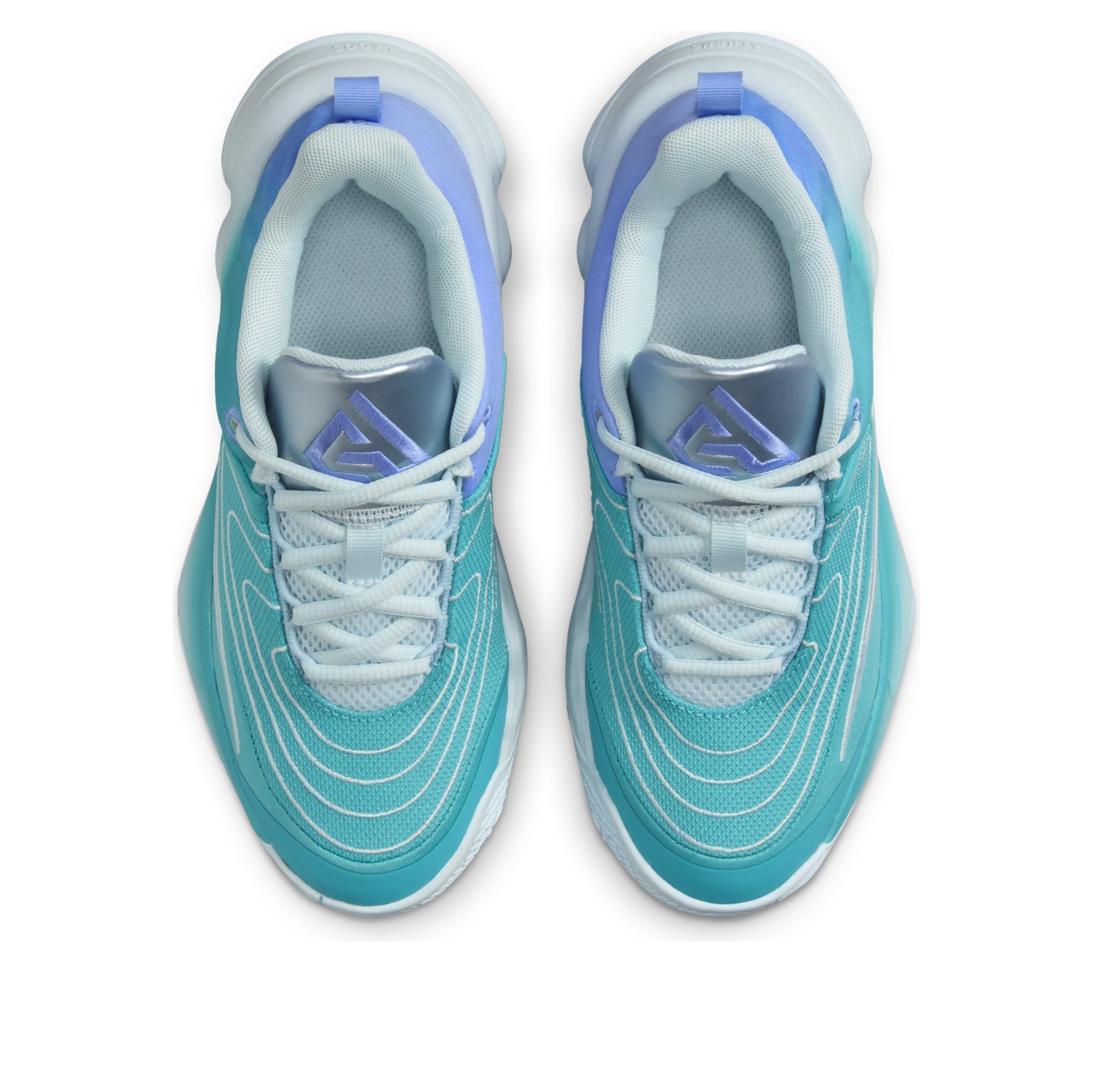 (GS) Nike Giannis Immortality 4 'Dusty Cactus Royal Pulse' FZ6734-300