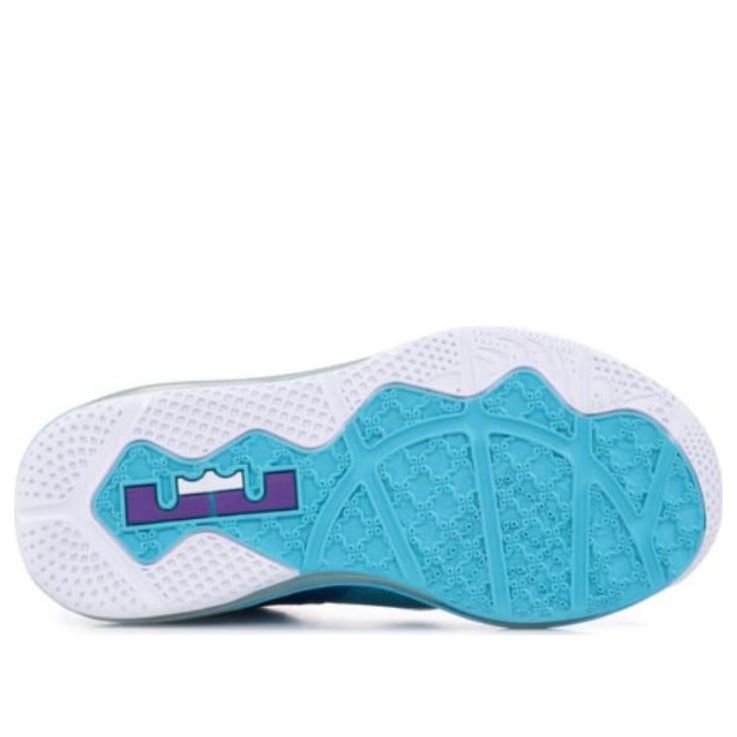 Nike LeBron 9 Low 'Summit Lake Hornets' 510811-400