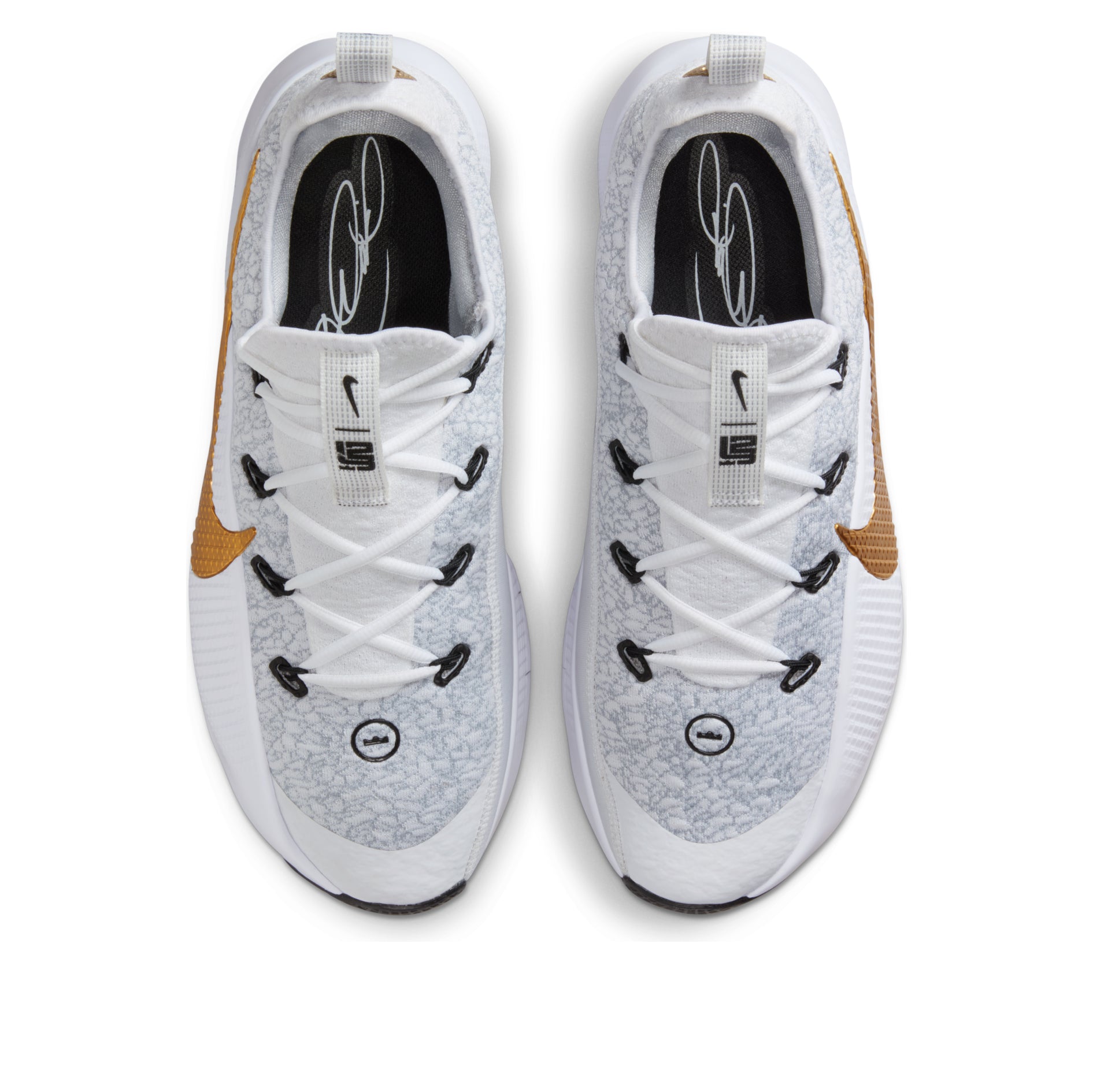 Nike LeBron TR 1 'Wolf Grey Metallic Gold' FJ6151-006