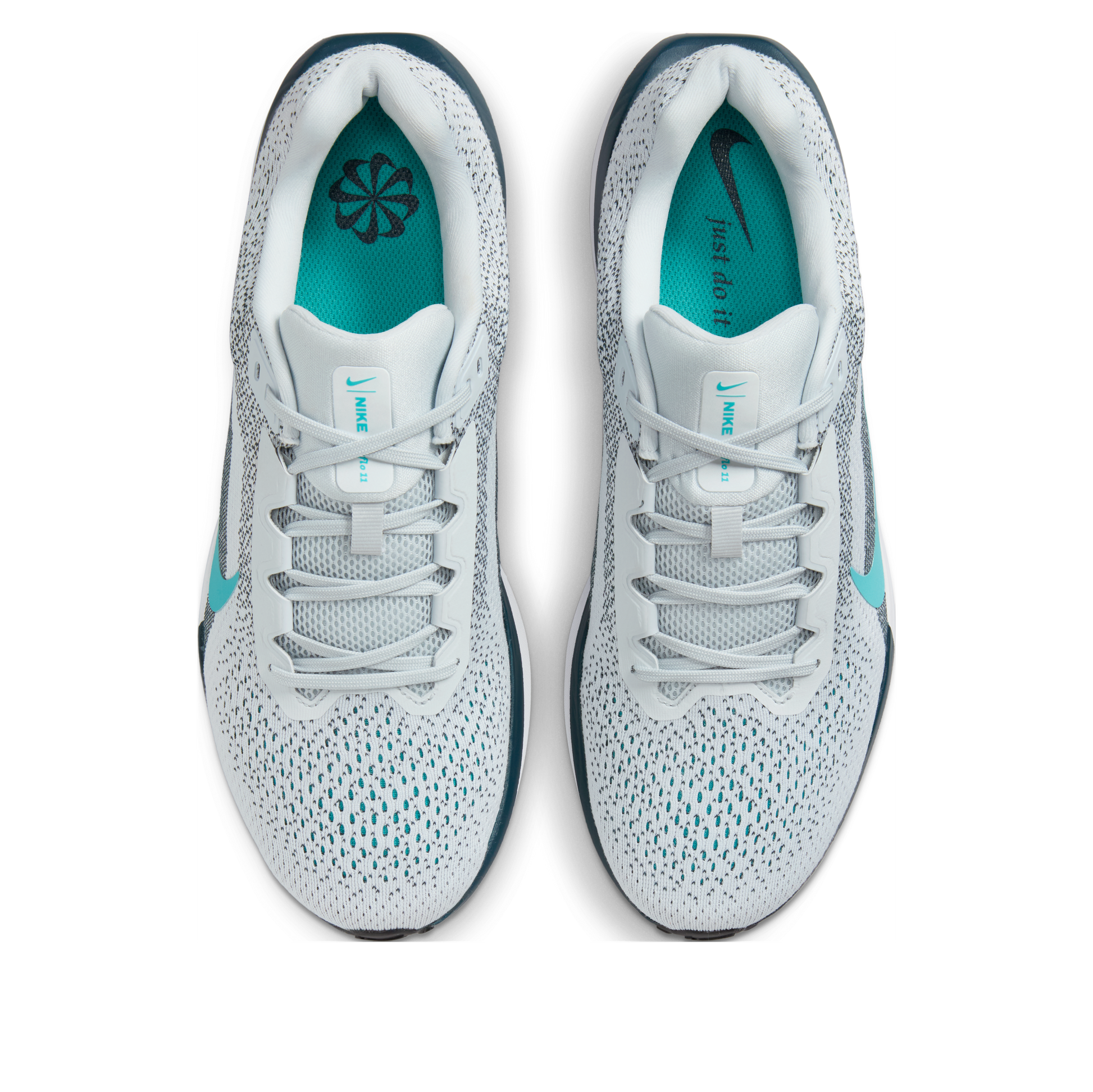Nike Winflo 11 'Pure Platinum Dusty Cactus' FJ9509-004