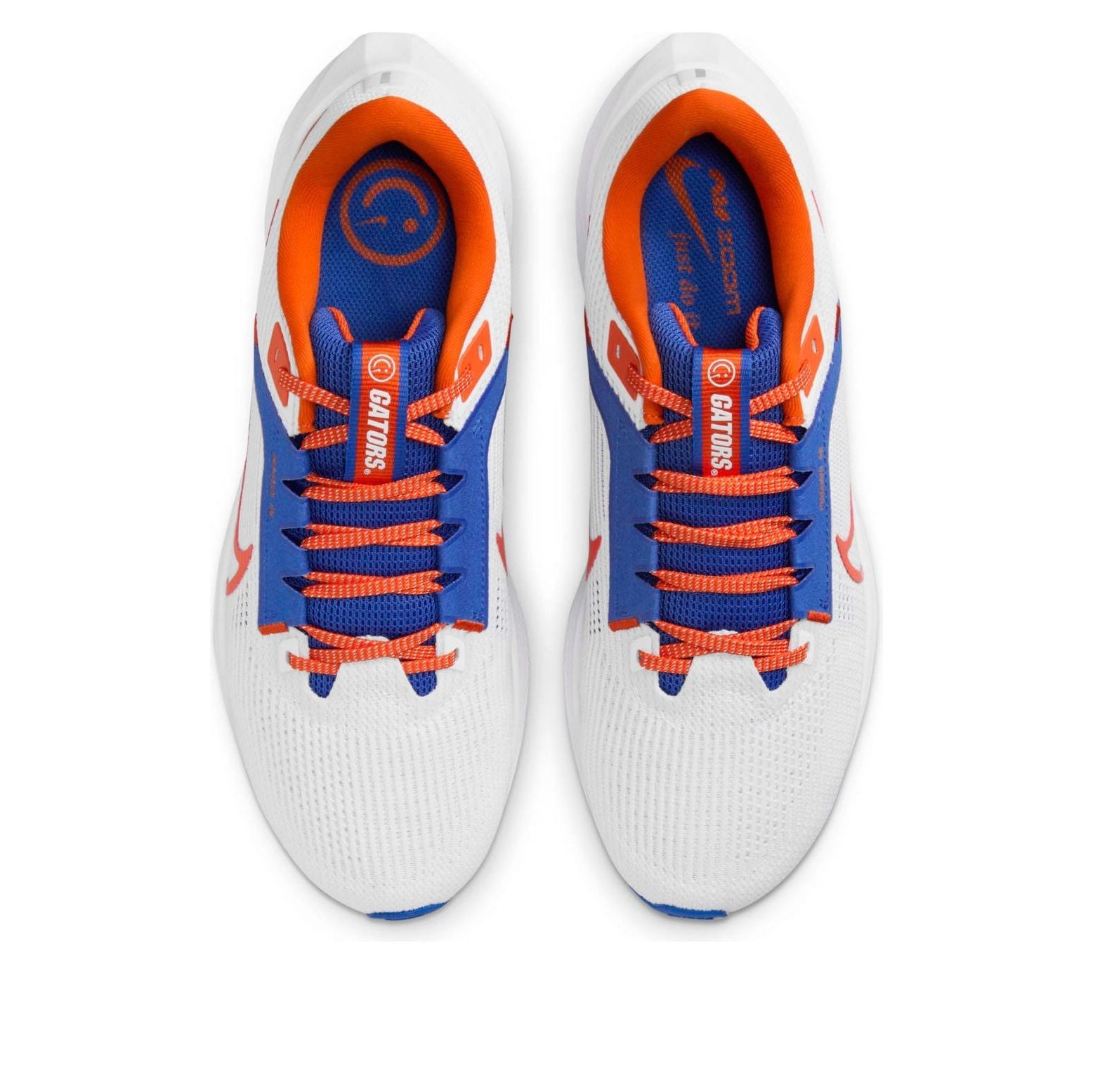 Nike Air Zoom Pegasus 40 'Florida Gators' DZ5998-100