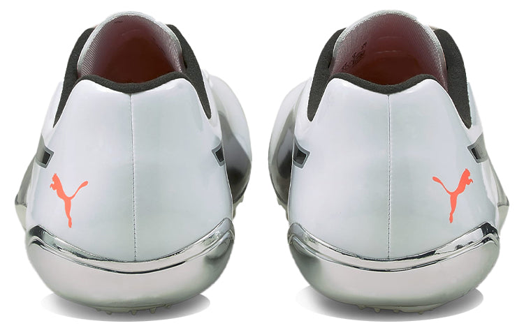 PUMA evoSPEED Electric 10 'Grey' 194475-01