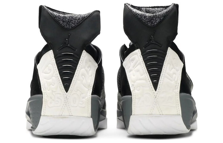 Air Jordan 20 Retro 'Playoffs' 310455-003
