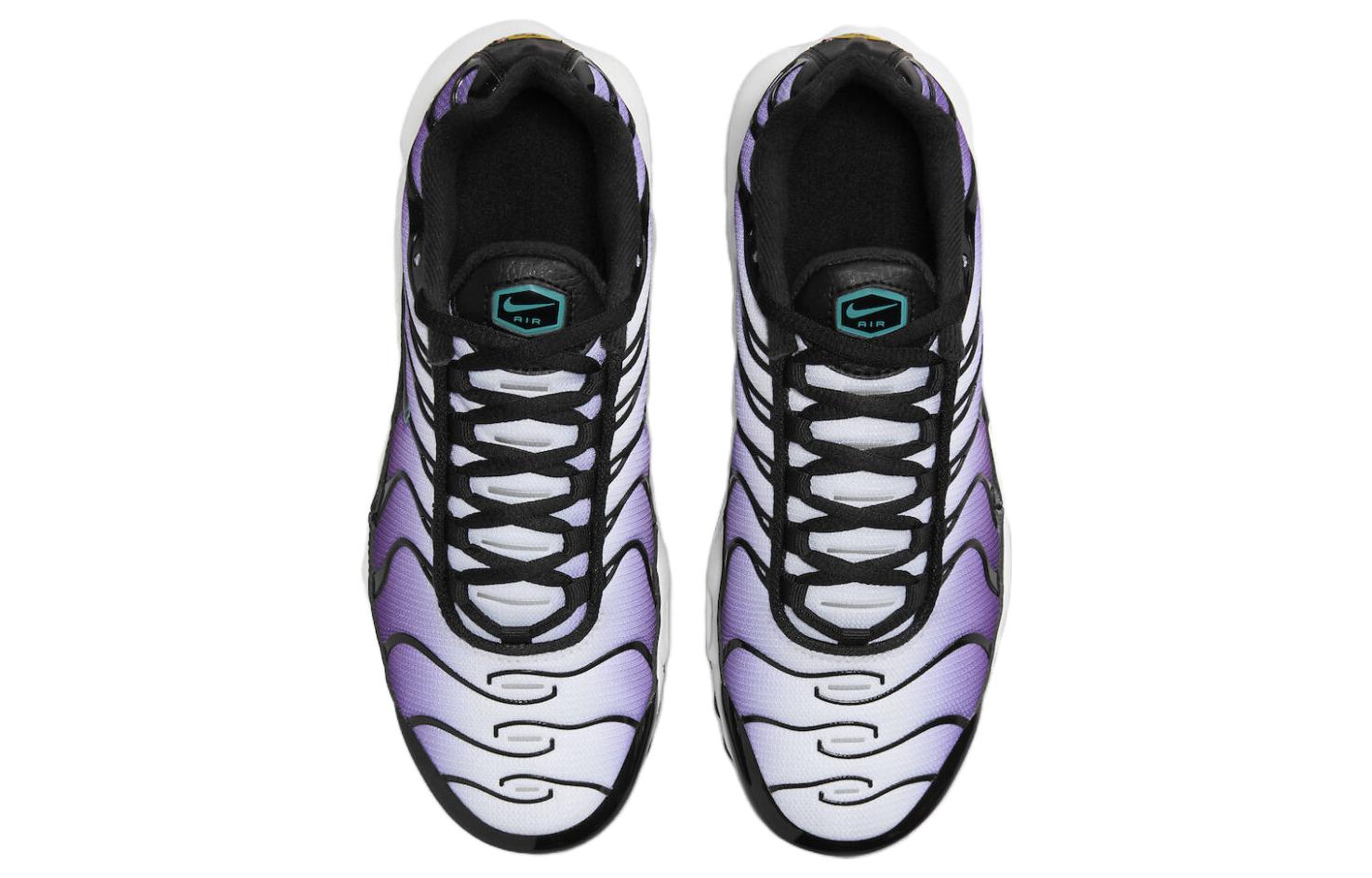 (GS) Nike Air Max Plus 'Reverse Grape' FQ2412-500