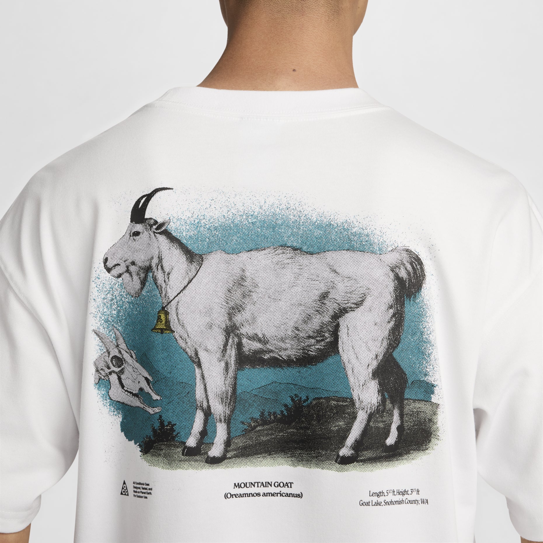 Nike ACG Graphic Dri-FIT T-Shirt (Asia Sizing) 'White' FV3493-121