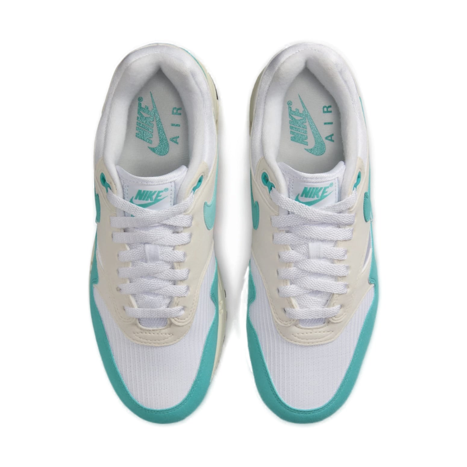 (WMNS) Nike Air Max 1 'Dusty Cactus' DZ2628-107
