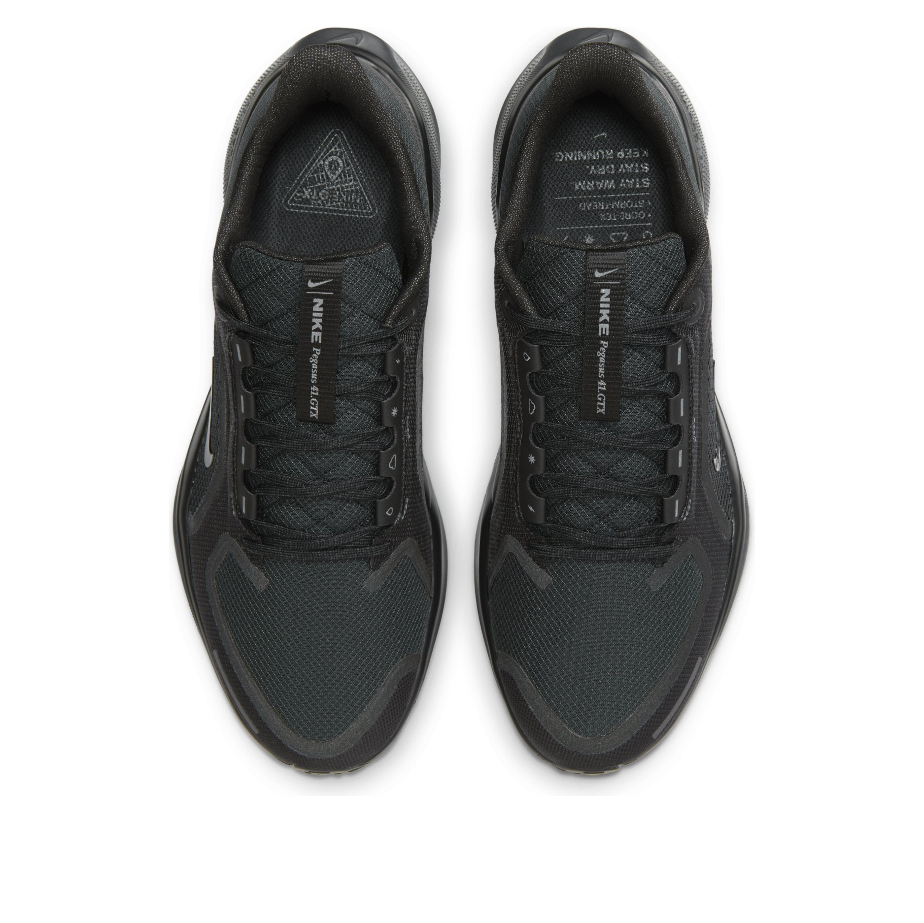 Nike Air Zoom Pegasus 41 Gore-Tex 'Black Anthracite' FQ1356-001