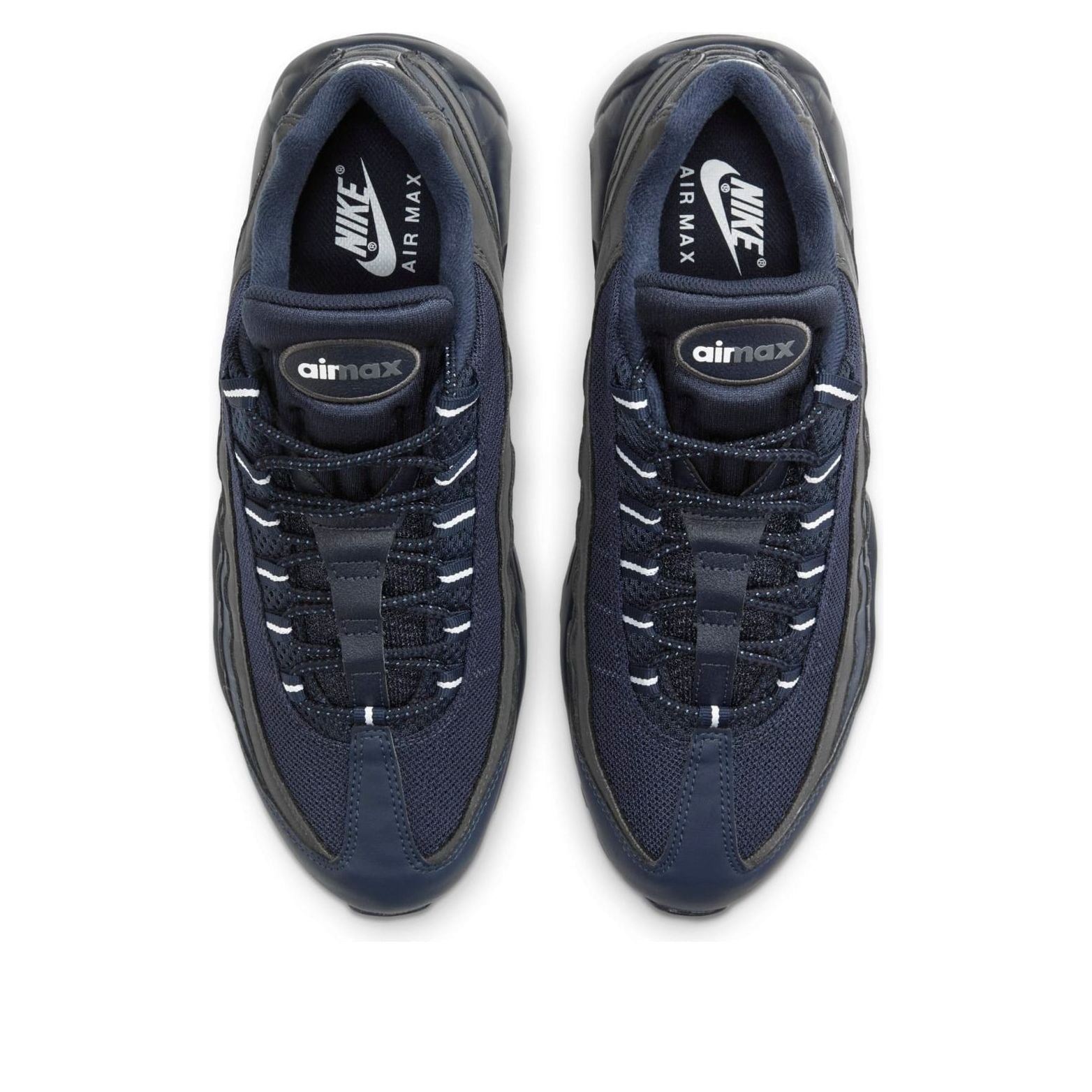 Nike Air Max 95 'Obsidian' DD7114-400