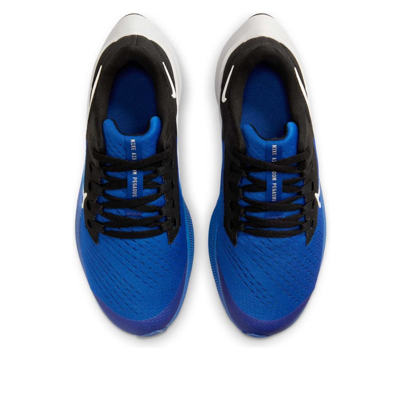 (GS) Nike Air Zoom Pegasus 38 'Game Royal' CZ4178-411