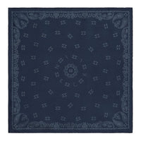CELINE Silk Silk Scarves Women's Blue