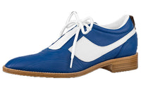LOUIS VUITTON LV Soccer Men's Casual Shoes Women's Blue
