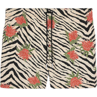 CELINE SS25 Swimming Shorts Men's Multicolor